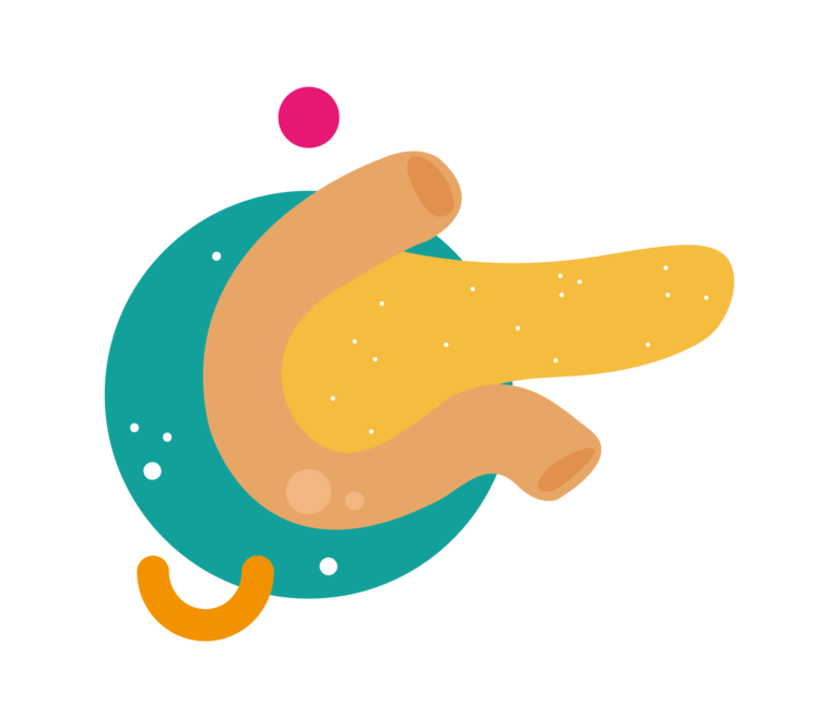 Pancreas